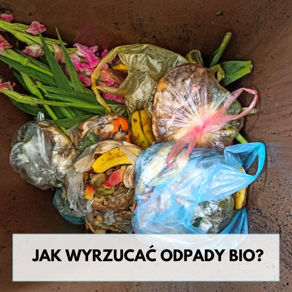 wzdrowymdomu.pl Sylwia Panek Mama Chemik odpady bio segregacja