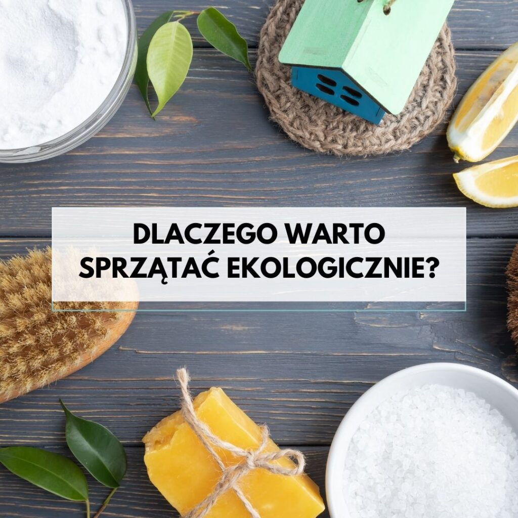 wzdrowymdomu.pl Sylwia Panek Mama Chemik dlaczego warto sprzątać ekologicznie?