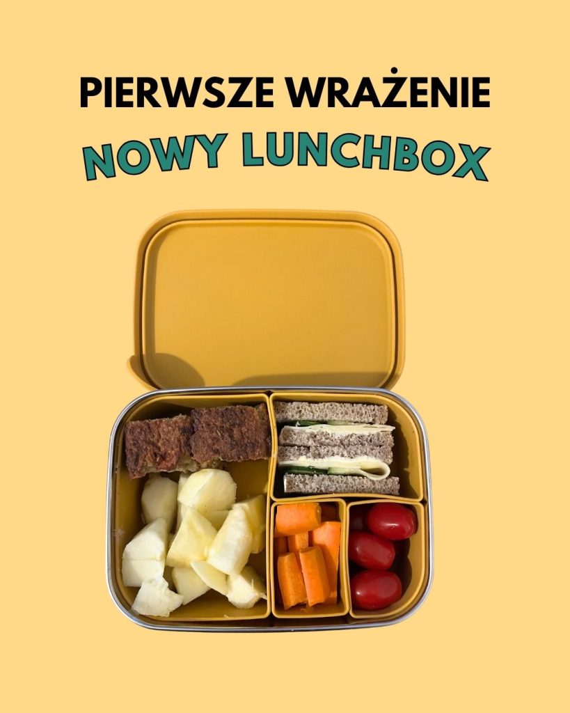 lunchbox stalowy z silikonem